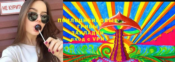 дмт Алексин