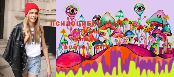 ешки Саяногорск