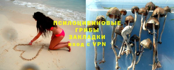 дмт Алексин