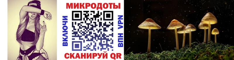 купить  сайты  Дюртюли  Псилоцибиновые грибы Magic Shrooms 